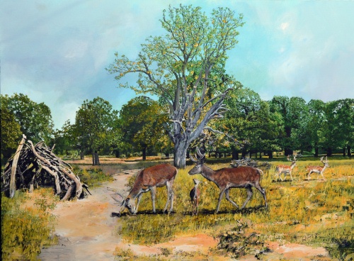 Deer In Richmond Park - Click For More